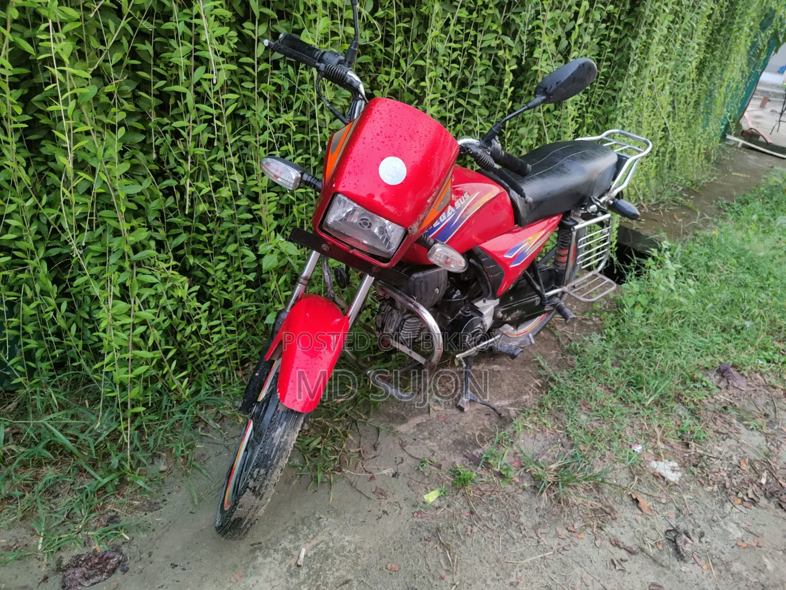 Pegasus Victory 100 2023 Red