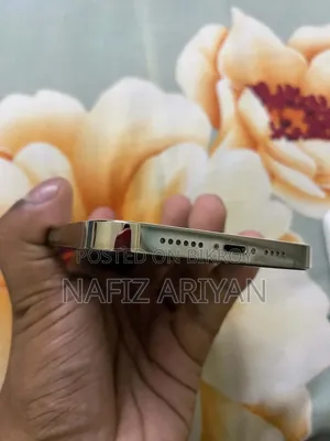 অ্যাপল আইফোন ১৪ প্রো ম্যাক্স ১২৮ জিবি গোল্ড