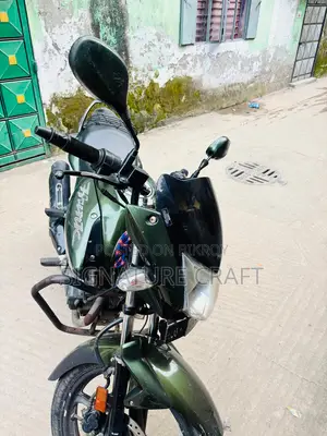 হিরো হাংক ২০২০ গ্রিন
