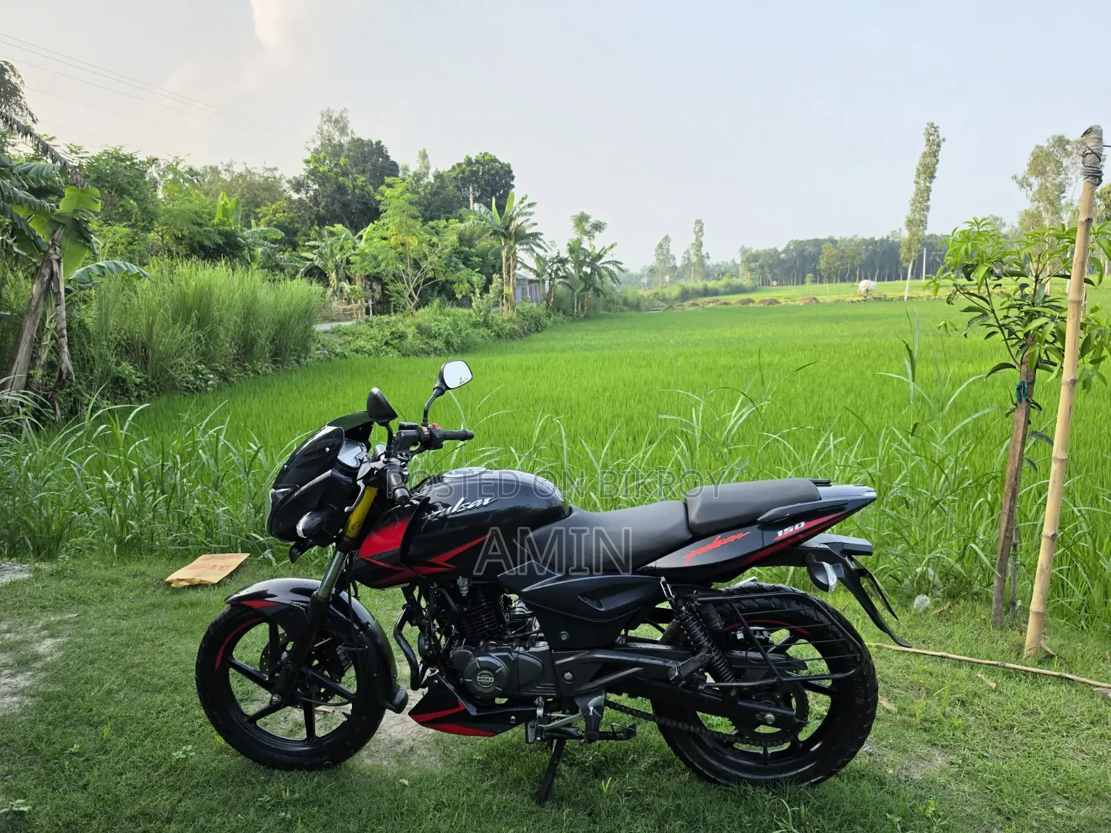 বাজাজ পালসার ১৫০ ২০২১ ব্ল্যাক