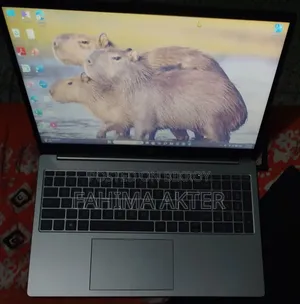 ল্যাপটপ HP 15 ১৬জিবি ইন্টেল কোর i5 এসএসডি ৫১২জিবি