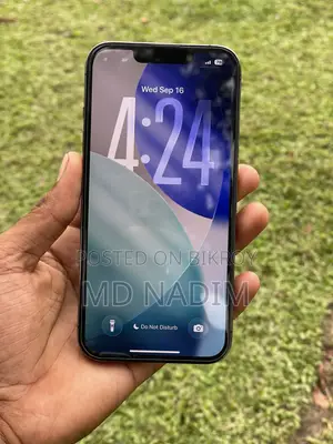 অ্যাপল আইফোন ১৩ প্রো ২৫৬ জিবি গ্রে