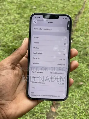 অ্যাপল আইফোন ১৩ প্রো ২৫৬ জিবি গ্রে