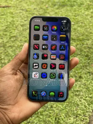 অ্যাপল আইফোন ১৩ প্রো ২৫৬ জিবি গ্রে
