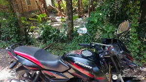 বাজাজ পালসার ১৫০ ২০১৯ ব্ল্যাক