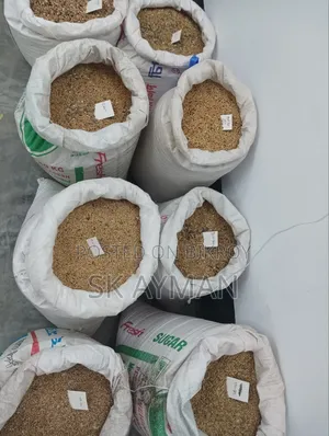 বাজরিগার পাখি