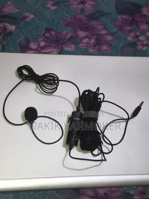 Microphone