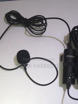 Microphone