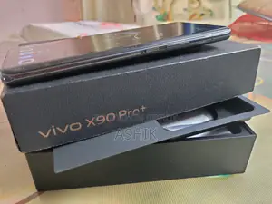 Vivo X90 Pro+ 512 GB Gray