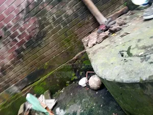 সাভারে ৪ বেডরুমের বাড়ি বিক্রির জন্য
