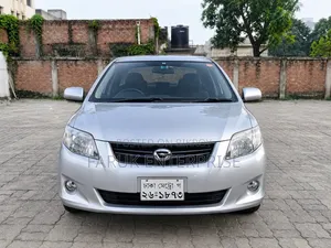 Toyota Corolla Fielder 2011 Silver