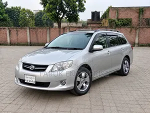 Toyota Corolla Fielder 2011 Silver