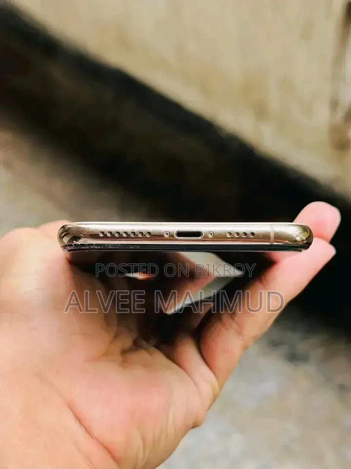 অ্যাপল আইফোন এক্সএস ম্যাক্স ২৫৬ জিবি রোজ গোল্ড