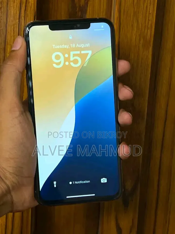 অ্যাপল আইফোন এক্সএস ম্যাক্স ২৫৬ জিবি রোজ গোল্ড