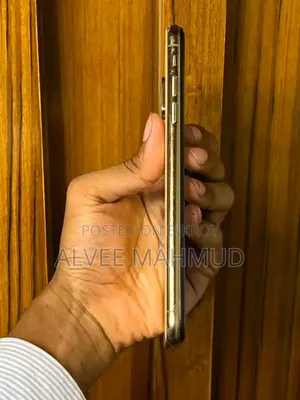 অ্যাপল আইফোন এক্সএস ম্যাক্স ২৫৬ জিবি রোজ গোল্ড