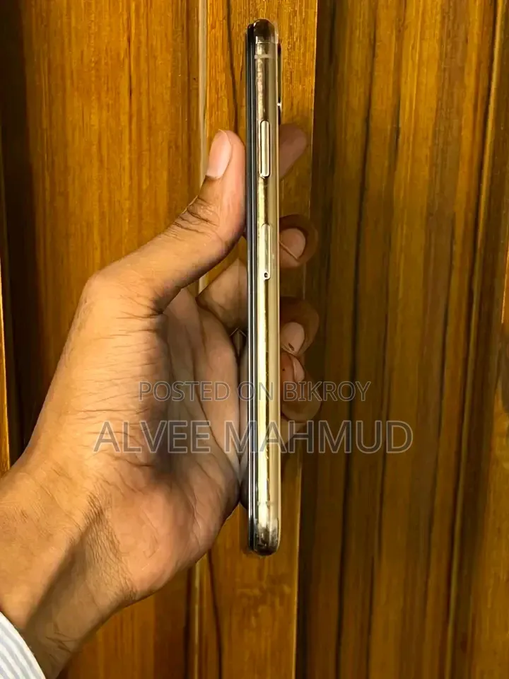 অ্যাপল আইফোন এক্সএস ম্যাক্স ২৫৬ জিবি রোজ গোল্ড