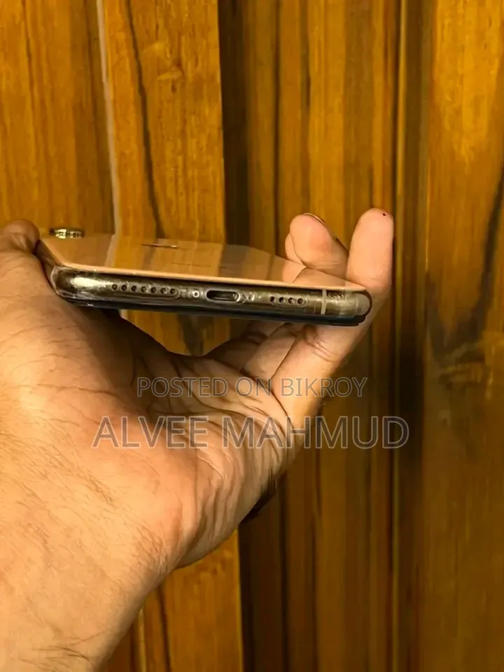 অ্যাপল আইফোন এক্সএস ম্যাক্স ২৫৬ জিবি রোজ গোল্ড