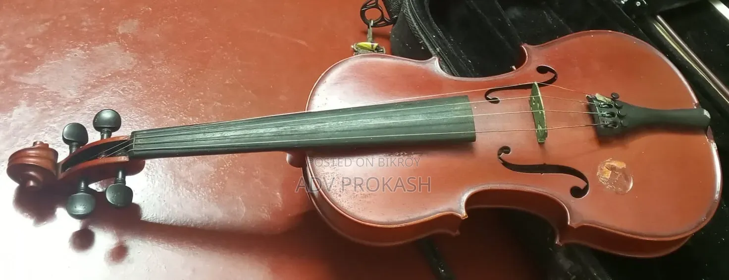Acoustic Violin
