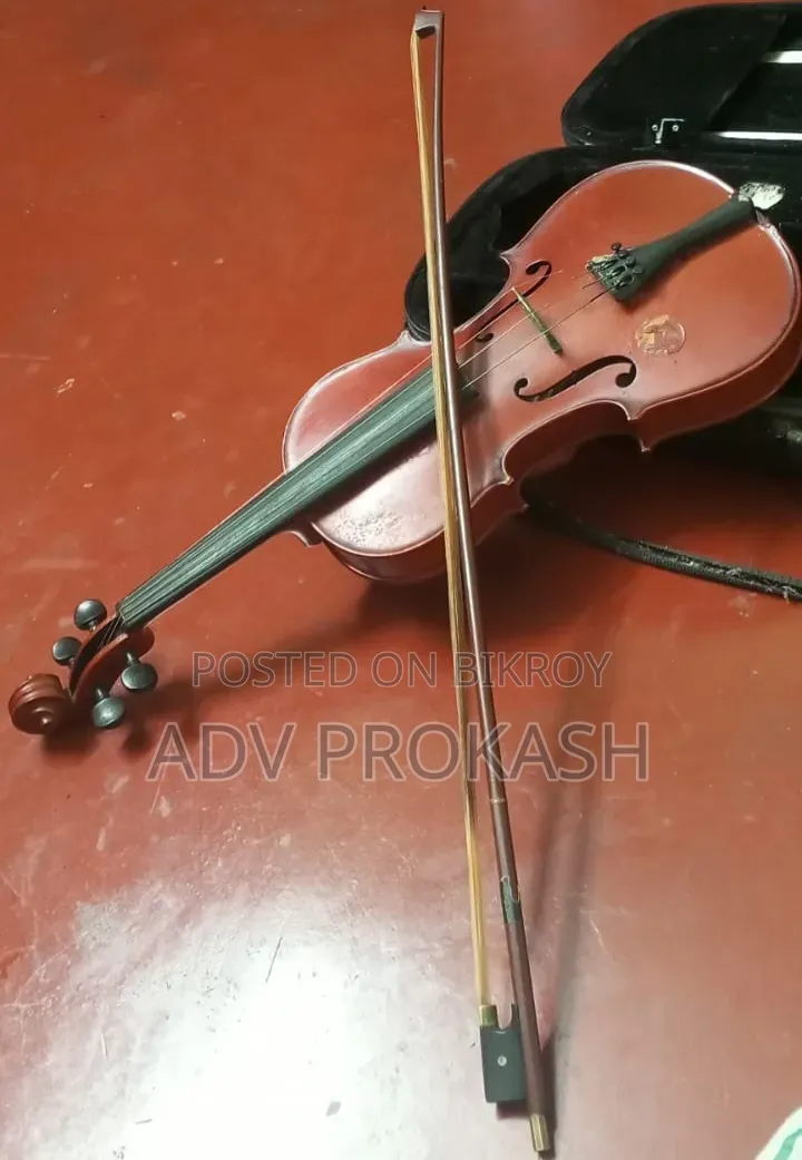 Acoustic Violin