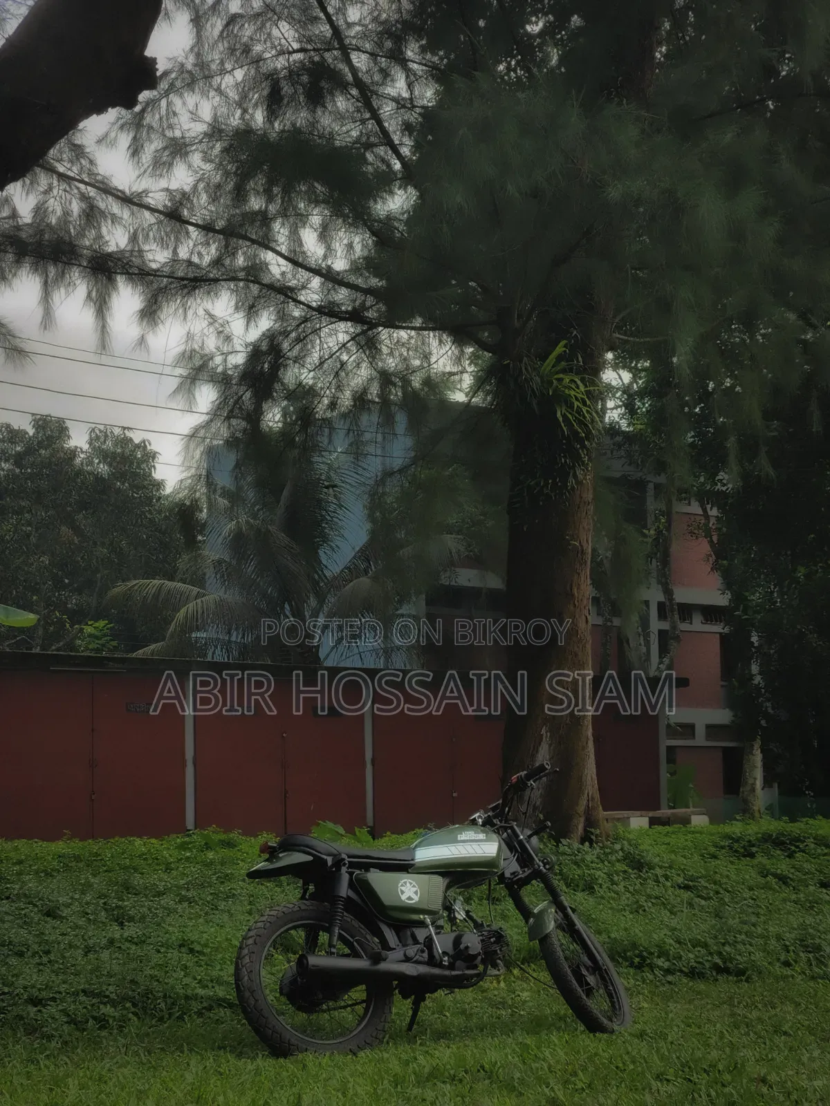 দায়াং অ্যাপোলো ২০১১ বেইজ
