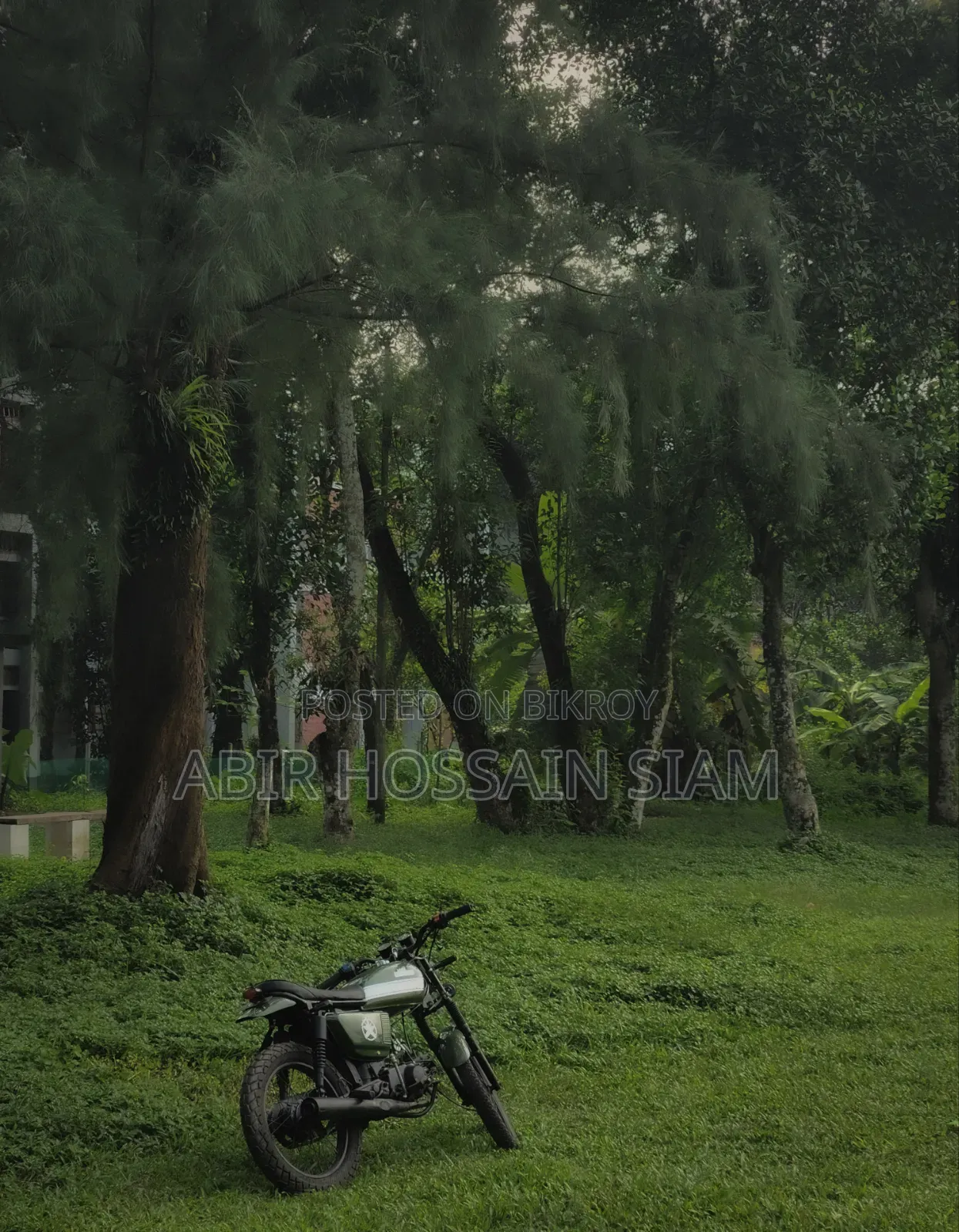 দায়াং অ্যাপোলো ২০১১ বেইজ
