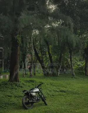 দায়াং অ্যাপোলো ২০১১ বেইজ