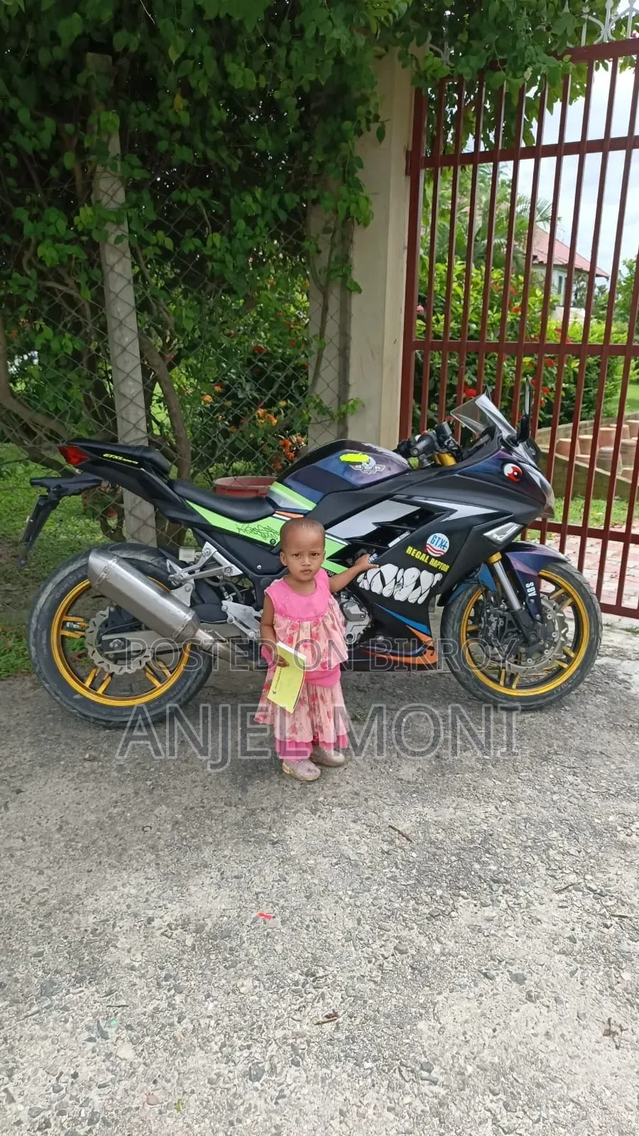 রিগাল রেপ্টর এক্সইউভি ২৫০ ২০১৯ ব্লু