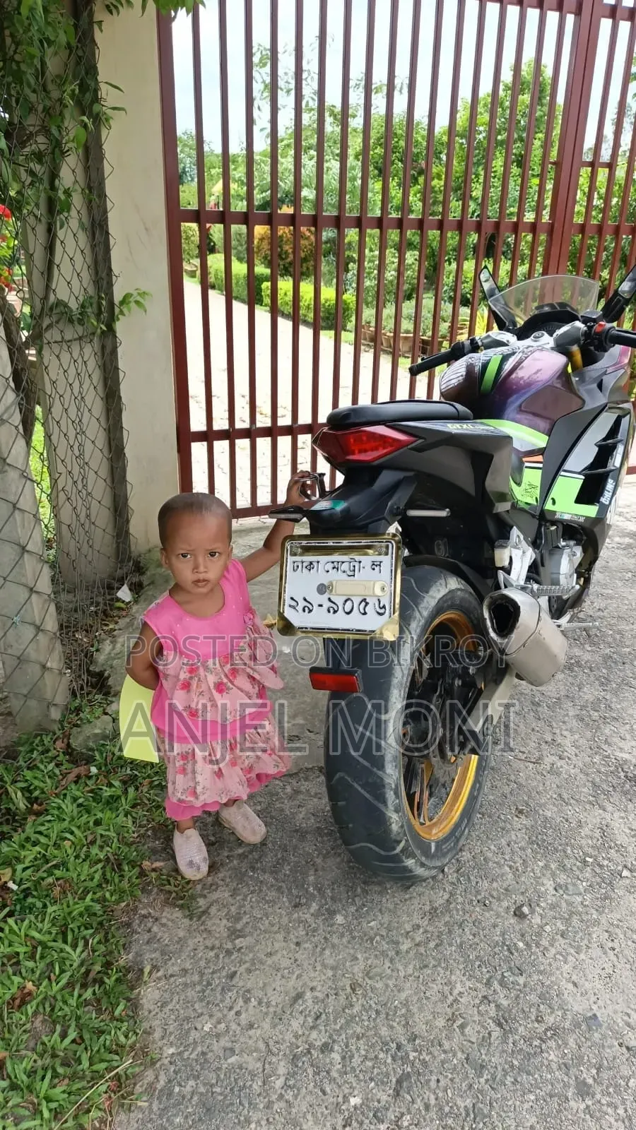 রিগাল রেপ্টর এক্সইউভি ২৫০ ২০১৯ ব্লু
