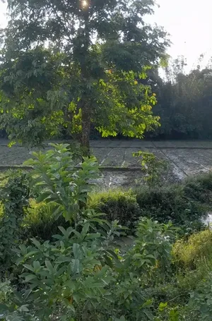 5 Decimal Land Beside Road For Sale