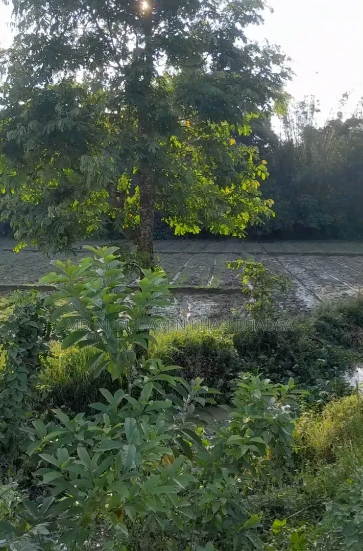 5 Decimal Land Beside Road For Sale