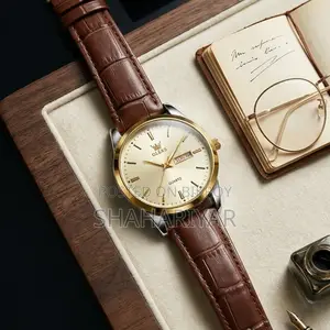 OLEVS Classic Quartz Analog Men's Watch