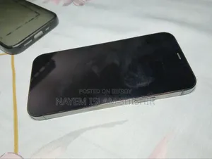 অ্যাপল আইফোন ১২ প্রো ২৫৬ জিবি গ্রে