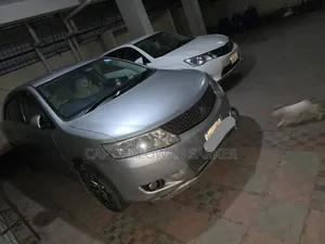 Toyota Allion 2009 Silver