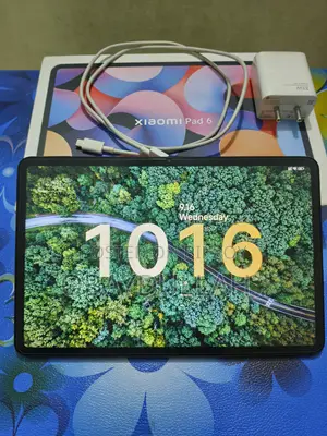 Xiaomi Pad 6 256 GB Gray