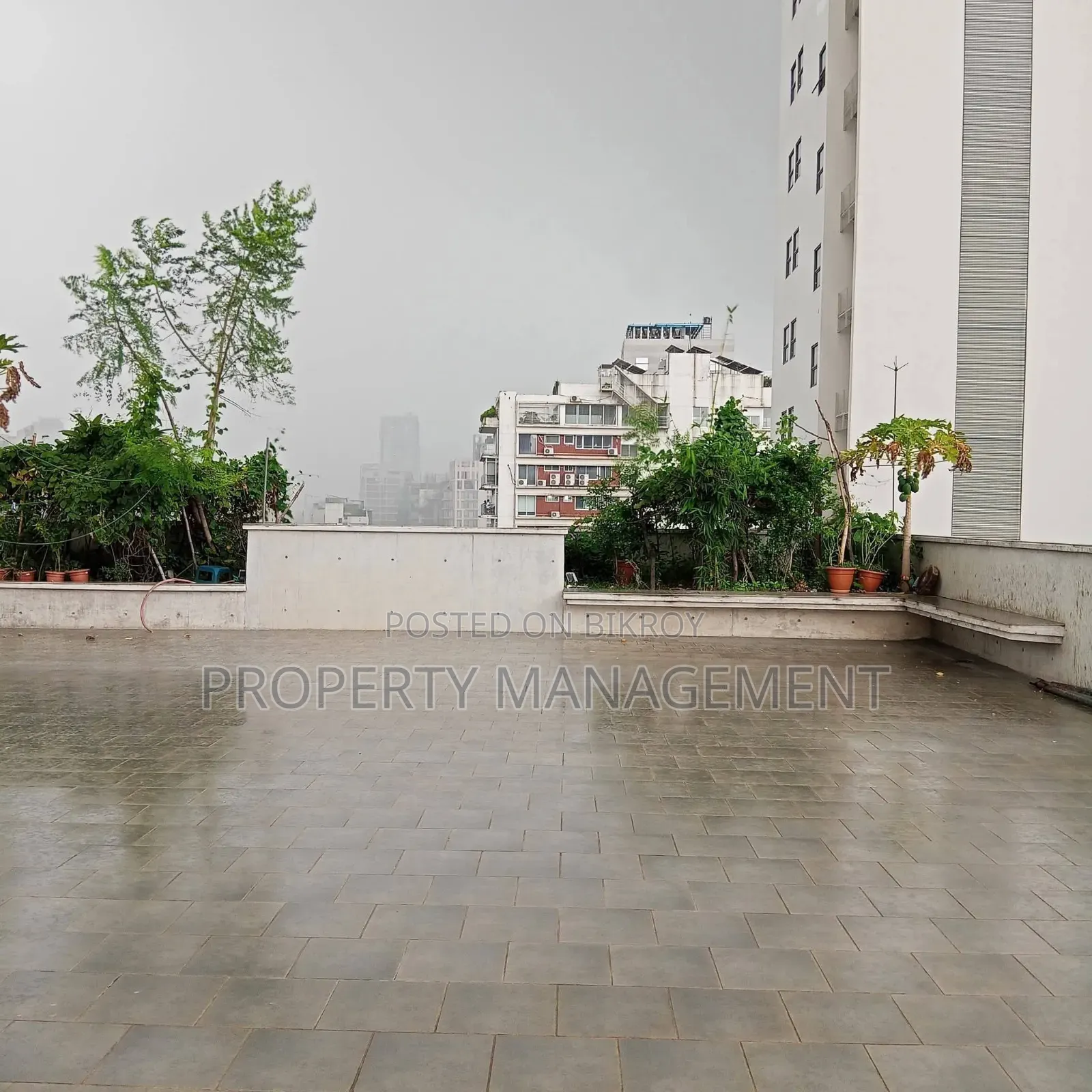 3 Bedroom Apartment in Simple Tree, Gulshan for Rent