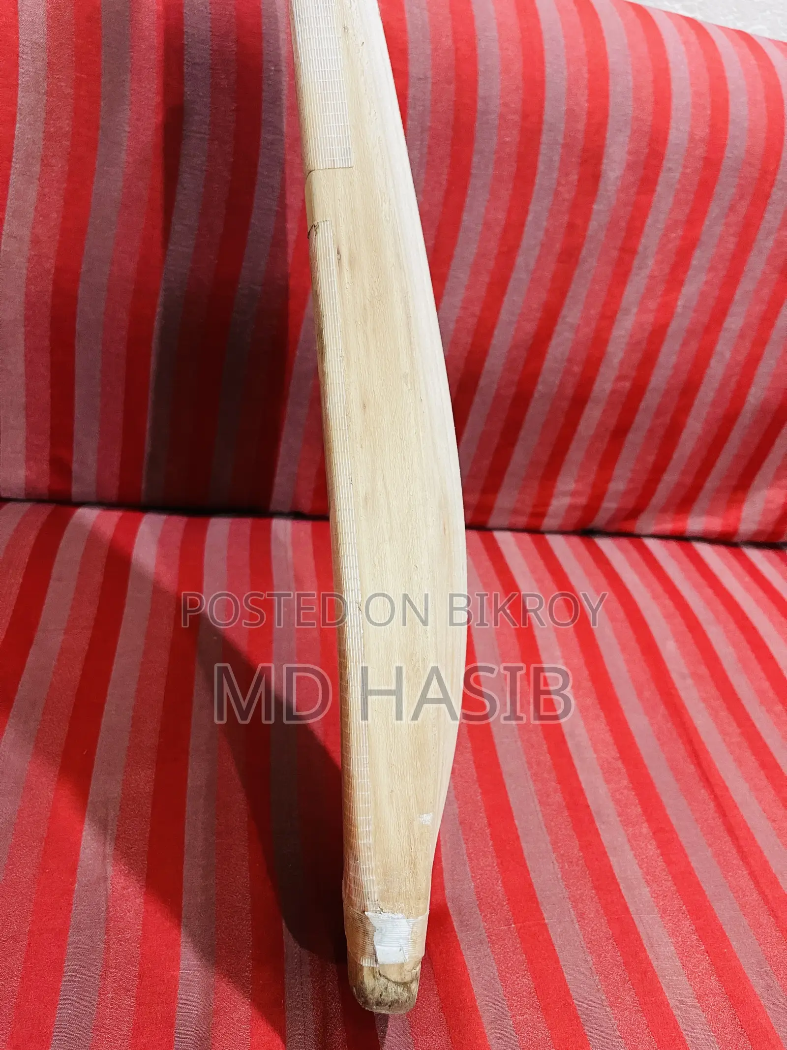 Cricket Bat