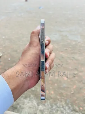 Apple iPhone 12 Pro 256 GB Silver
