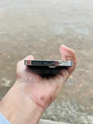 Apple iPhone 12 Pro 256 GB Silver