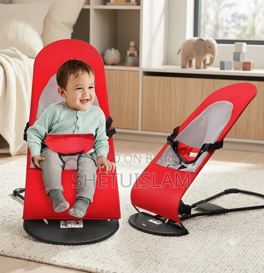 Baby Bouncer