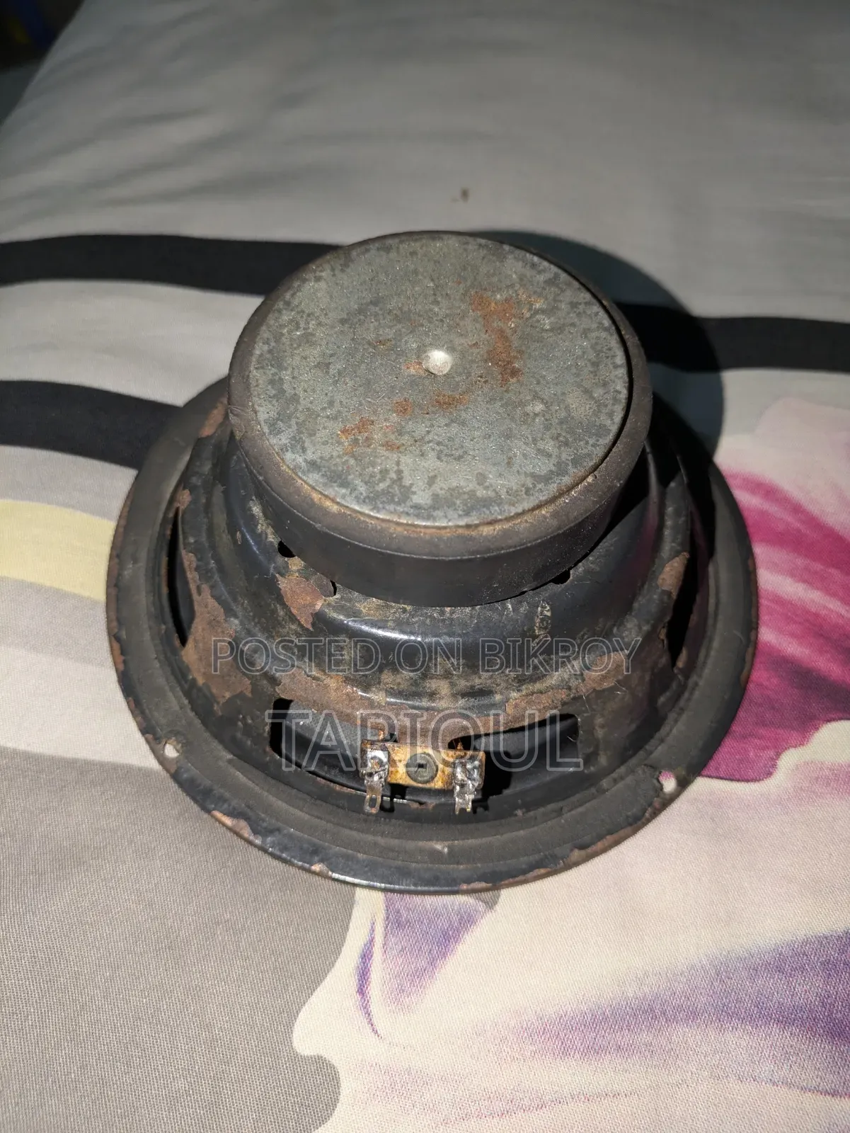 6 Inch Subwoofer Speaker