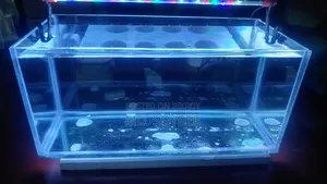 Crystal Glass Aquarium 18*8*8