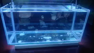 Crystal Glass Aquarium 18*8*8