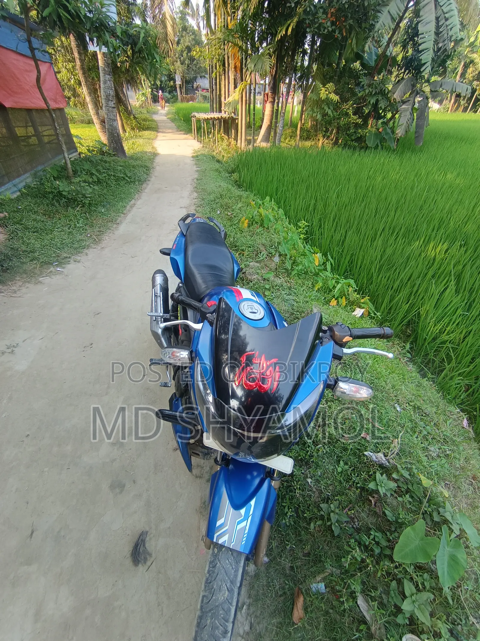 TVS Apache RTR 160 2V 2017 Blue