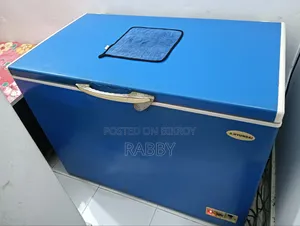 300 Liter Deep Freezer Urgent Sell