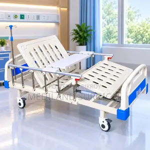 Two Function Manual Bed