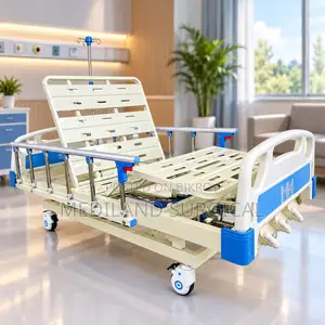 Three Function Manual Bed