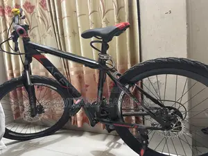 এইসেক্স স্ট্যান্ডার্ড সাইকেল