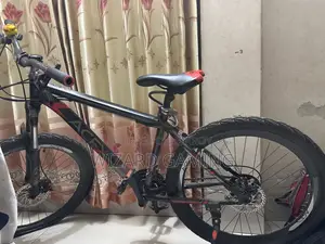 এইসেক্স স্ট্যান্ডার্ড সাইকেল