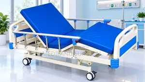 থ্রি ফাংশন ইলেকট্রিক বেড