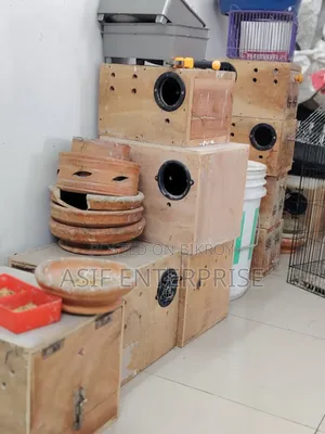 কোকটেল ও লাভ বার্ড এর ব্রিডিং বক্স